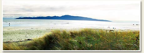 Raumati Beach with Kapiti Island in the background