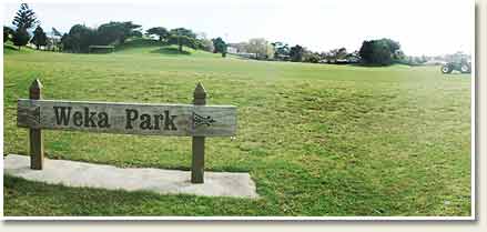 Click to show this Panarama of Weka Park
